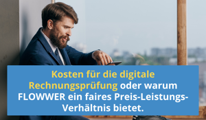 Kosten-für-die-digitale-Rechnungsprüfung-1080x630.png