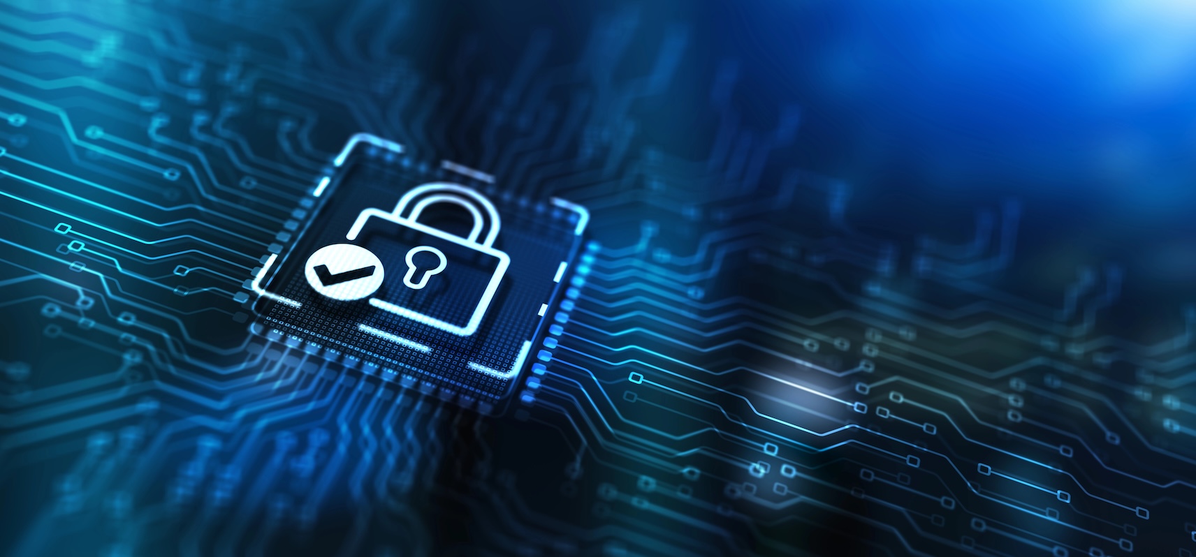 Datenschutz: Sind ihre Daten beim automatisierten Rechnungsmanagement durch SaaS-Anbieter geschützt?